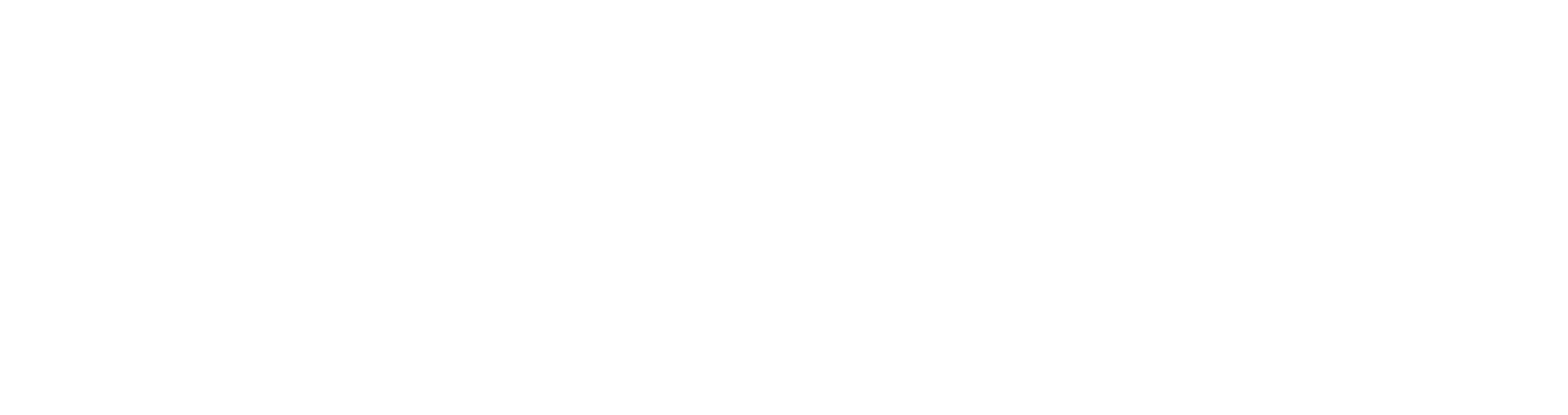 Soldii Logo